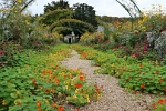 Monet's Garden in Giverney
