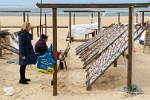 Nazare Portugal Fish drying